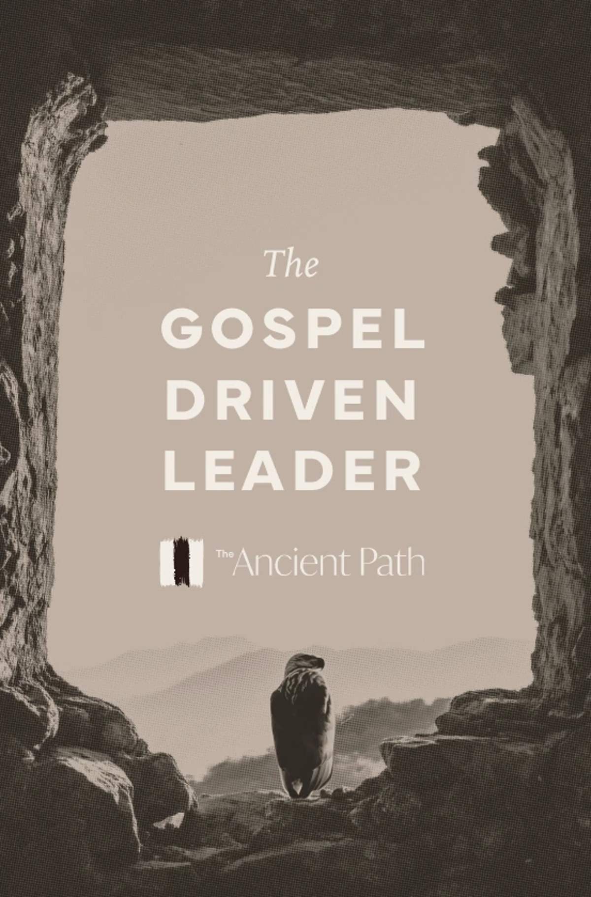 Cover of The Gospel Driven Leader